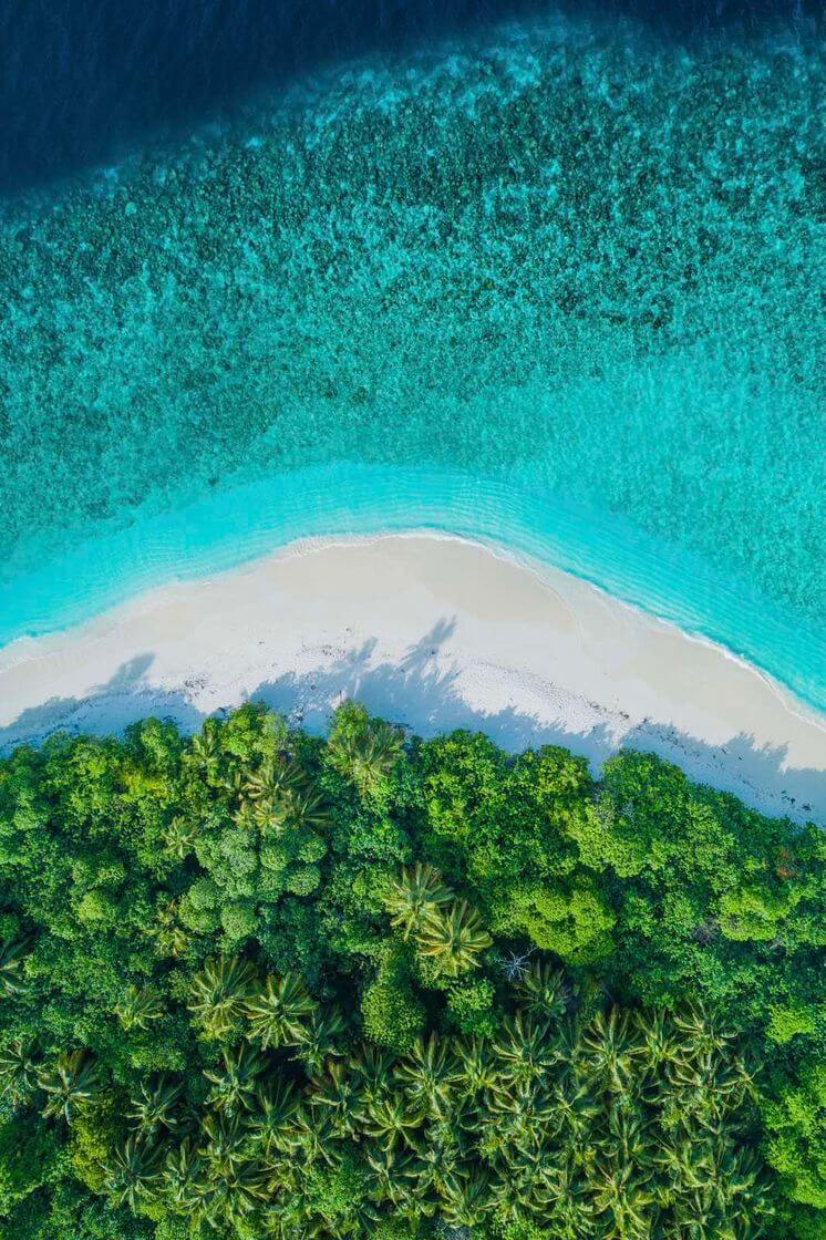 a beach with trees and blue water