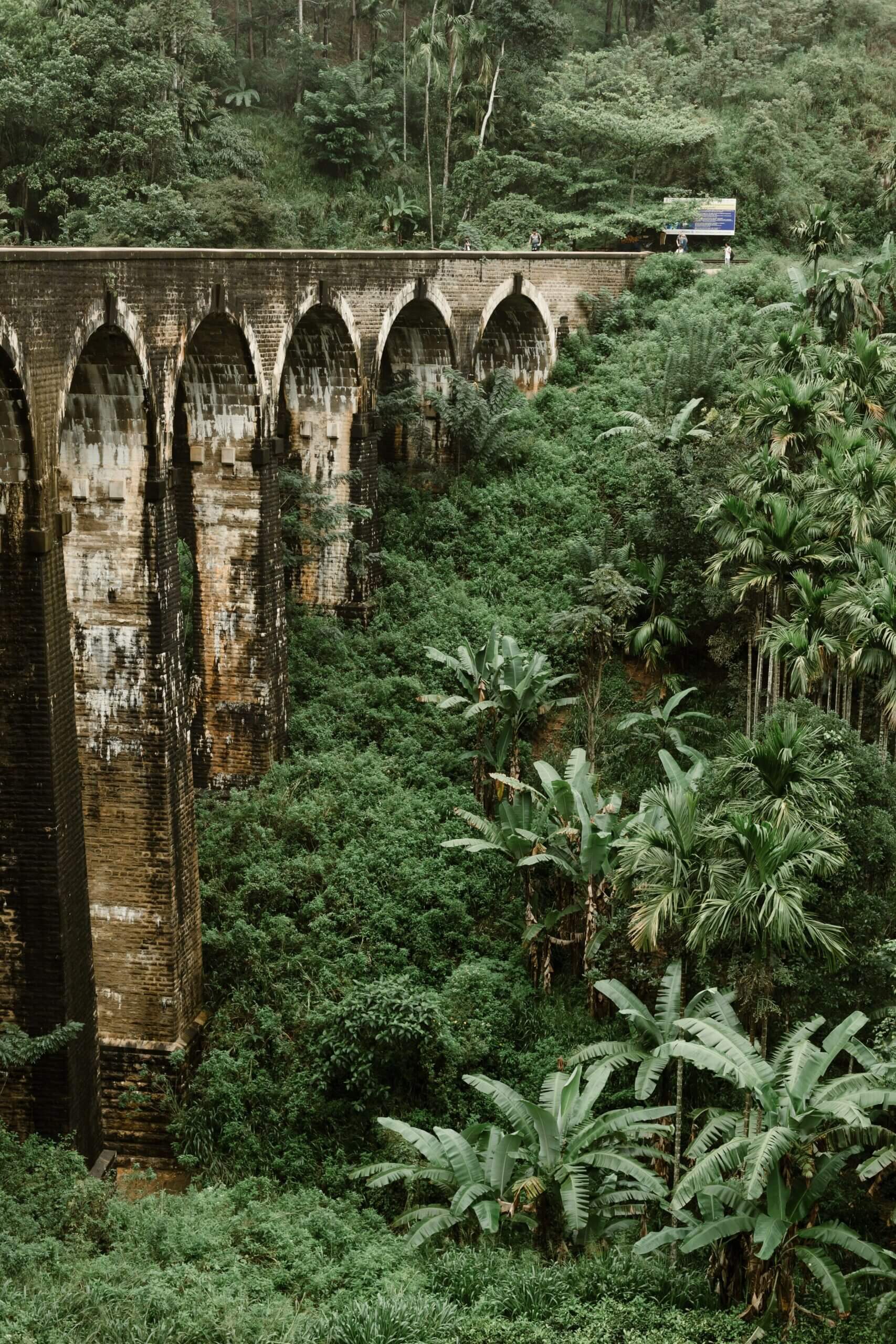 Old bridge with green flora